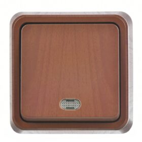 Günsan Fantasy Ceviz Işıklı Anahtar