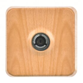 Günsan Fantasy Akçaağaç TV Prizi (Geçişli-Sonlu)