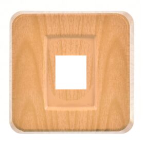 Günsan Misya Akçaağaç Data Prizi - Jaksız