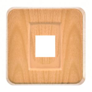 Günsan Misya Akçaağaç Data Prizi - Jaksız