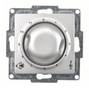 Günsan Visage Gümüş Vidalı Müzik Yayın Anahtarı