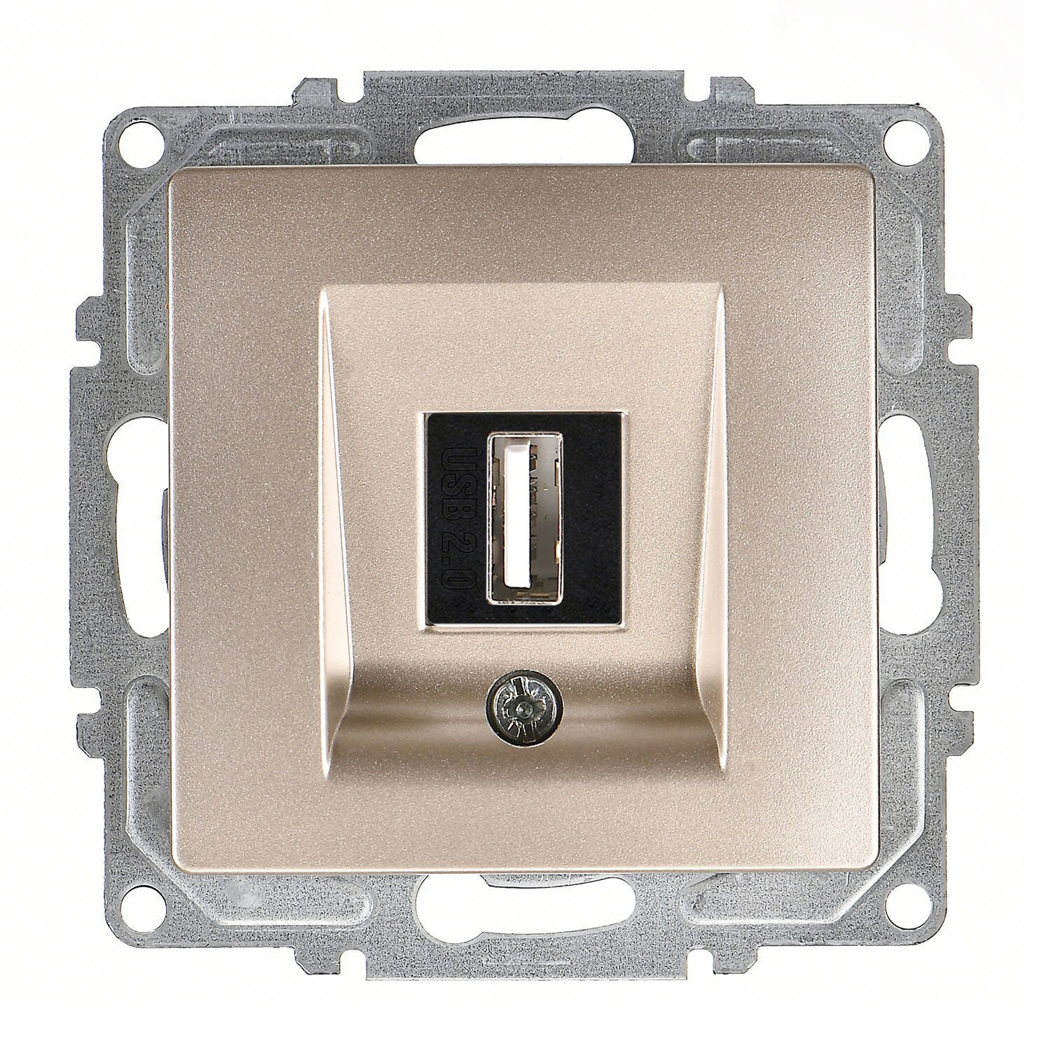 Günsan Visage Metalik Bej Vidalı USB Data Prizi