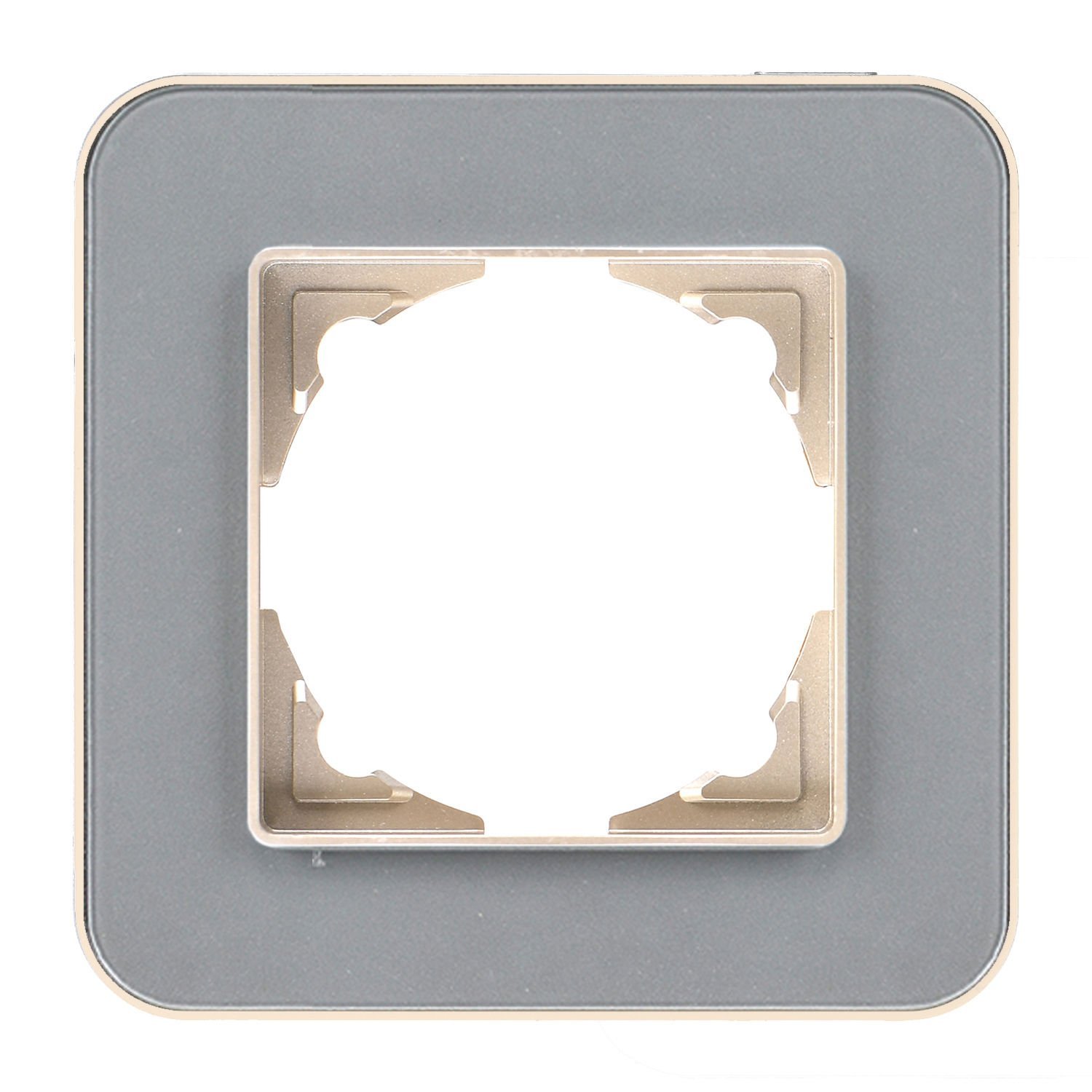 Günsan Radius Metalik Bej & Pearl Silver Tekli Çerçeve