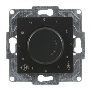 Günsan Eqona Metalik Siyah Vidalı Müzik Yayın Anahtarı