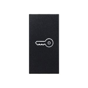 Günsan Domino  Siyah Kapak Kapı Otomatiği 1M