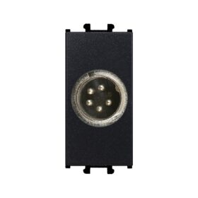 Günsan Domino Siyah Müzik Yayın Jack 5K - 1M