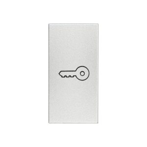 Günsan Domino Gümüş Kapak Kapı Otomatiği 1M