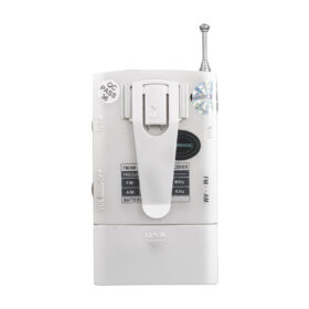 GÜMÜŞ RENK CEP TİPİ ANALOG FM RADYO VS-R106 (K0)