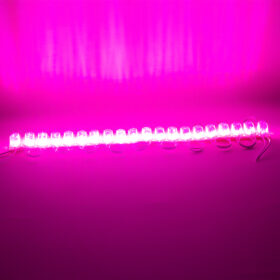 MODÜL LED 12V 1.5W PEMBE 2835 85 X 73MM IP65 240-260LM 180 DERECE (K0)