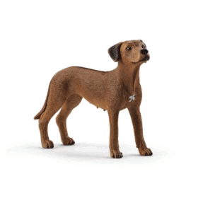 13895 Schleich - Rodezya Ridgeback Köpek +3 yaş