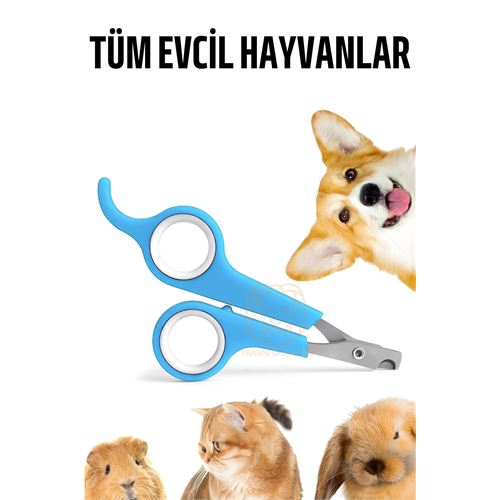 Turk Kedi Tırnak Makası Evcil Hayvan Köpek Tavşan Tırnak Makası