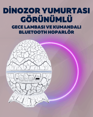 Yıldız Gökyüzü Efektli Çok Modlu Gece Işığı