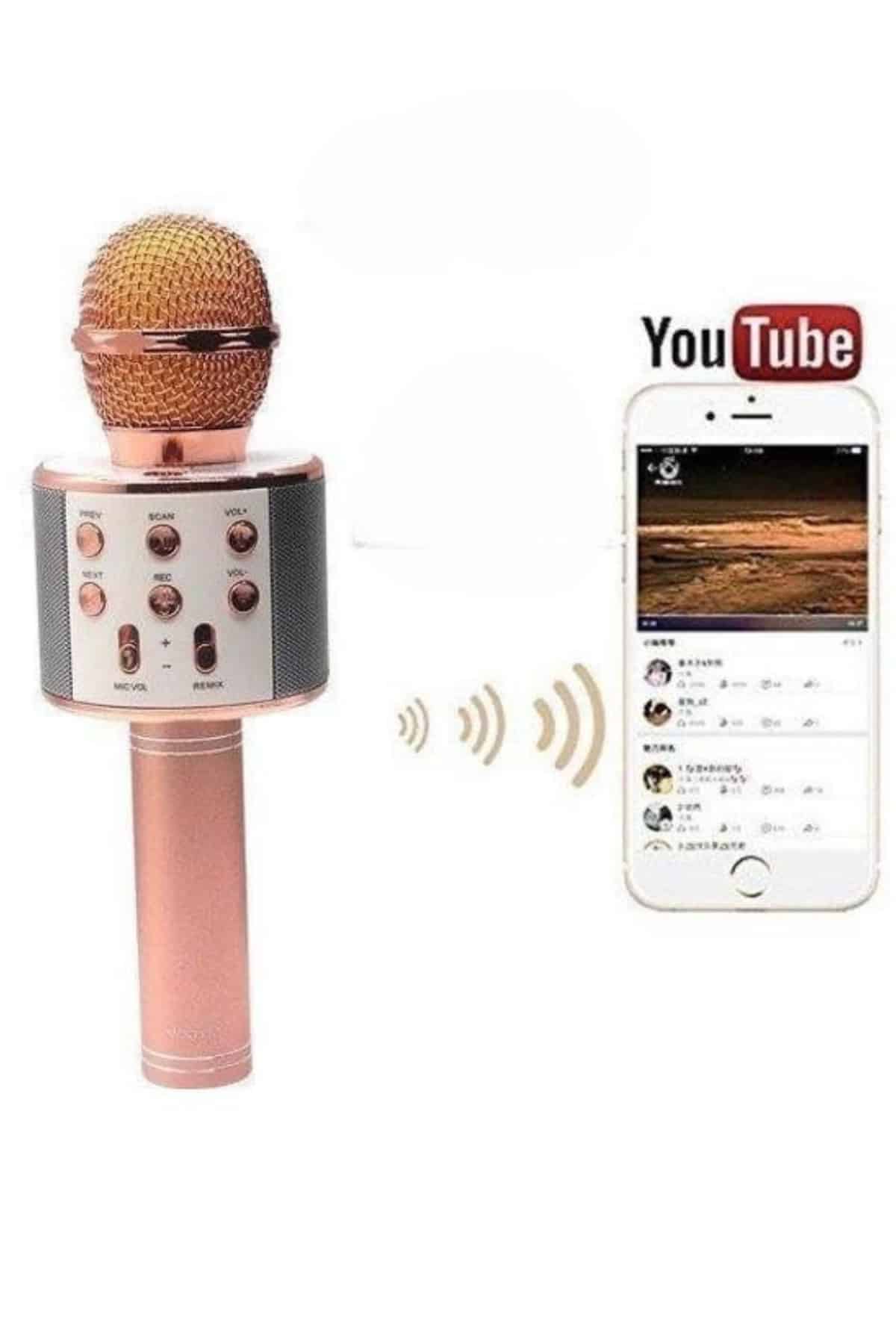 Bluetooth Hoparlör USB AUX SD Kart Kaoroke Mikrofon Uzun Pil Ömrü - Görsel 4