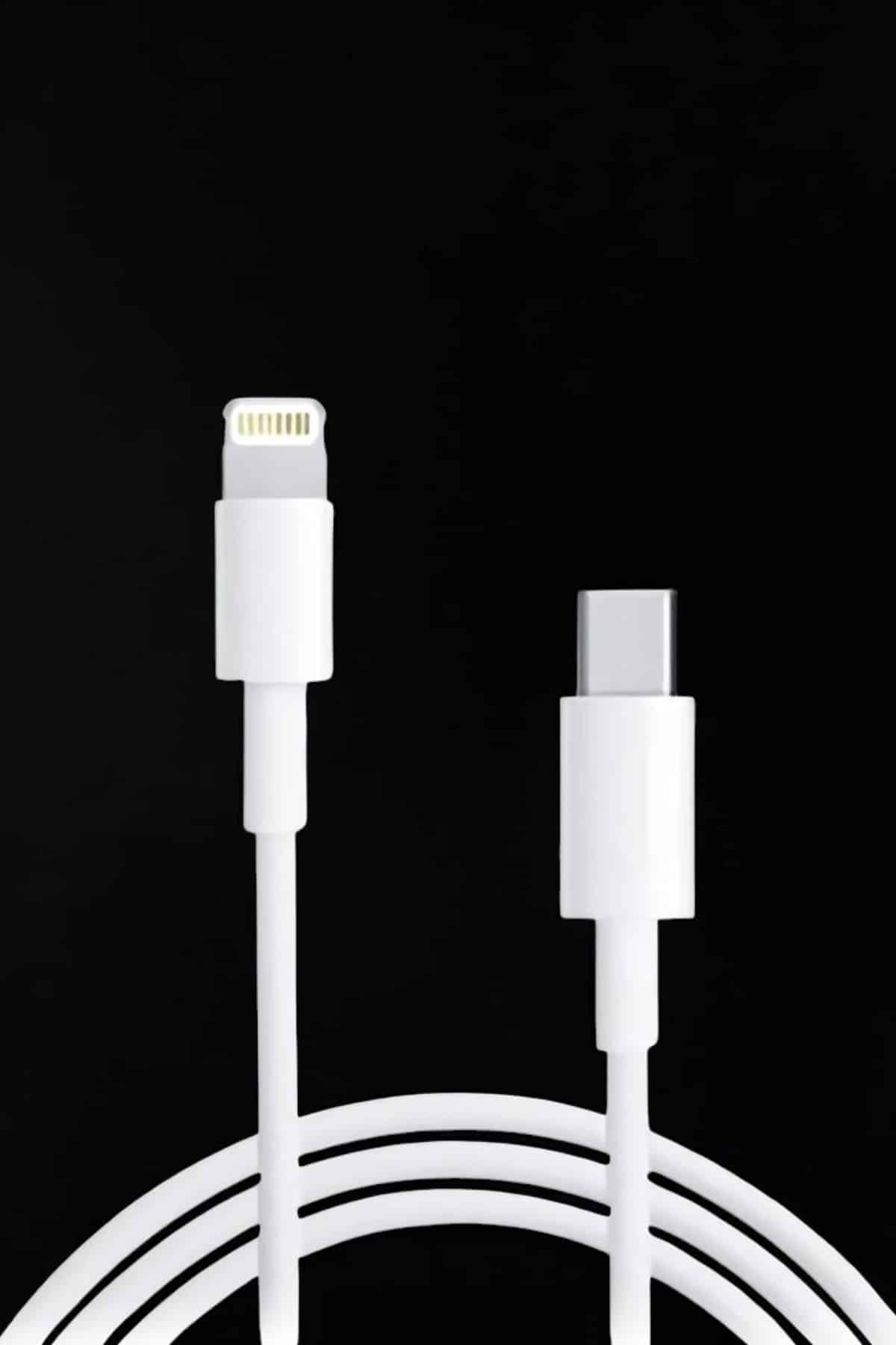 Iphone Tüm Modellerle Uyumlu Hızlı Şarj Kablosu İOS 30W - Görsel 5