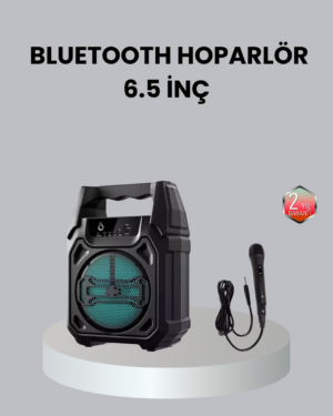10W Gücünde Kablosuz Hoparlör – Şarjlı FM Radyolu ve Taşınabilir