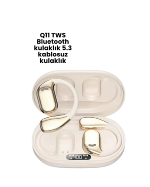 Çeviri Kulaklığı Q11