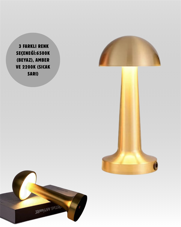%100 Kademeli Ayarlanabilir Işık – USB Şarjlı Masa Lambası - Görsel 5