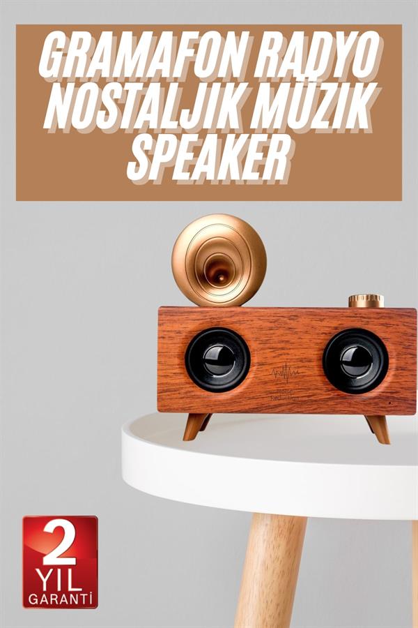 Gramafon Nostaljik Radyo Yüksek Ses Kalitesi USB TF Kart Aux - Görsel 2