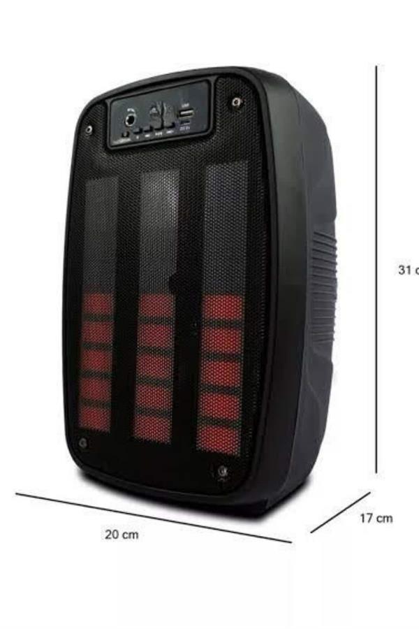 Taşınabilir 6.5 inç LED Bluetooth Kareoke Hoparlör RGB Işıklı Radyolu - Görsel 5