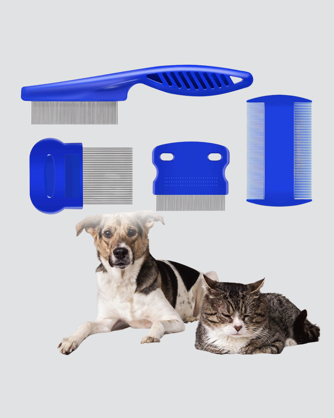Evcil Hayvan Tüy Bakım Seti – 4’lü Paslanmaz Çelik ve Eco Plastik Kolay Temizlenebilir ve Dayanıklı - Görsel 3