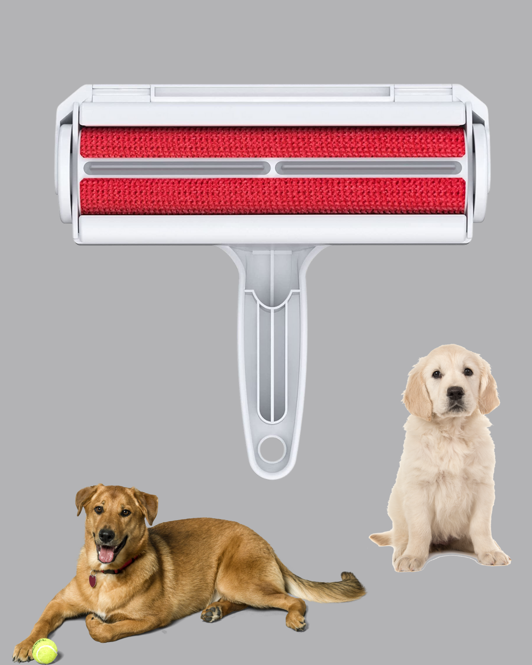 Kedi Köpek Tüy Toplama Hazneli Tüy Temizleme Cihazı Çok Kullanımlı - Görsel 5