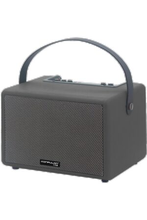 F31 50W Sürücülü 2 Adet Mikrofonlu BT 5.2 Kablosuz Hoparlör - Siyah-(5796)