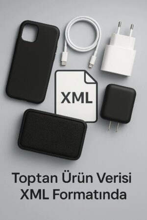 1 YILLIK ONLİNE ÇIKTI HİZMETİ/XML-(5796)