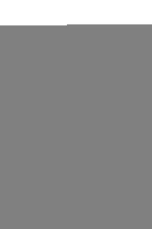 ORTA BOY ISPARTA ROSES KURU GÜL