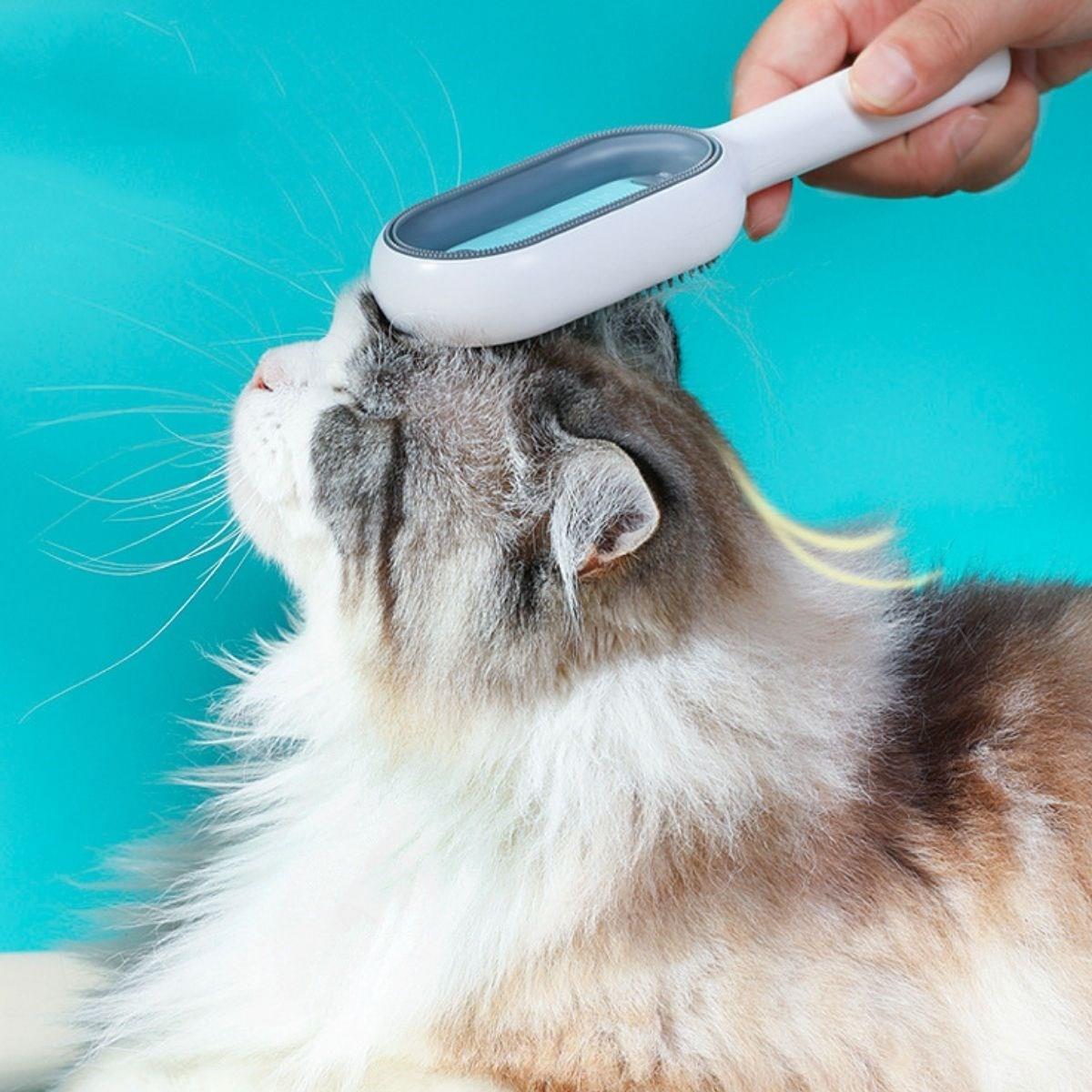 Evcil Hayvanlar İçin Çift Taraflı Pet Fırçası Nemli Tüy Tarama Tarağı - Görsel 3