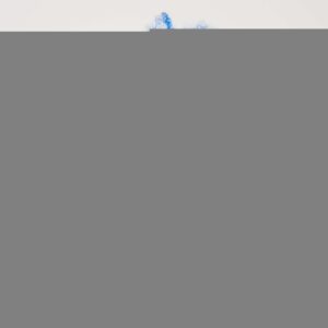 Mavi Renk Kıvırcık Afro Bonus Peruk