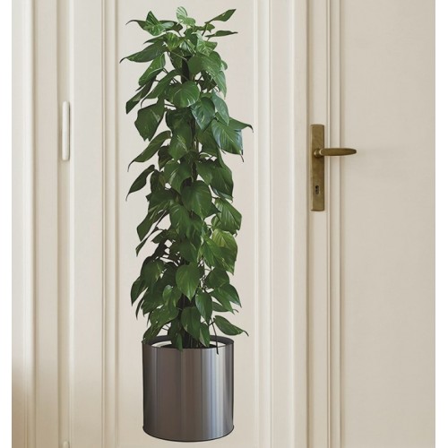 Saksılı Bitki Tasarımlı Yapışkanlı Sticker Resim 90*30 cm - Görsel 2