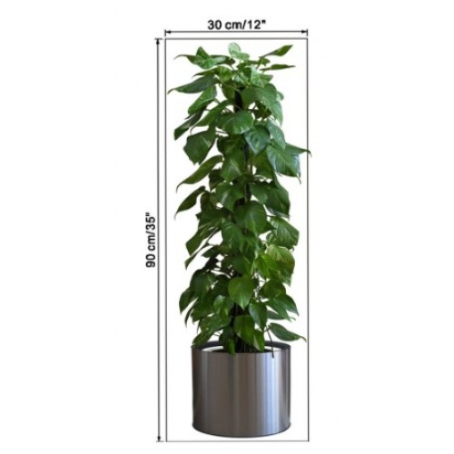 Saksılı Bitki Tasarımlı Yapışkanlı Sticker Resim 90*30 cm - Görsel 4