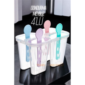 HSNET 4 lü Dondurma Kalıbı Meybuz Kalıbı