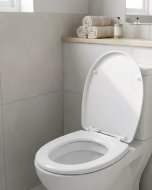 Dayanıklı Klozet Kapağı Universal Model Kolay Kurulum Hijyenik Banyo Ürünü