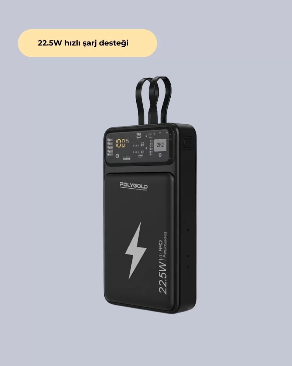 PGPW10 POWERBANK - Görsel 2