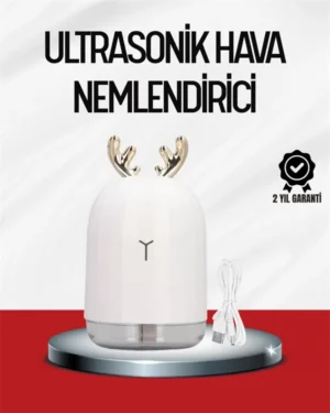 El Tipi USB Mini Soğuk Mist Nemlendirici 220 ml Tank