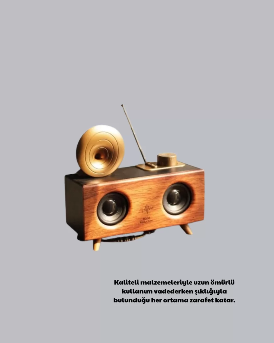 Nostaljik Gramofon Bluetooth Hoparlör – FM Radyo + USB + SD Kart Destekli - Görsel 3