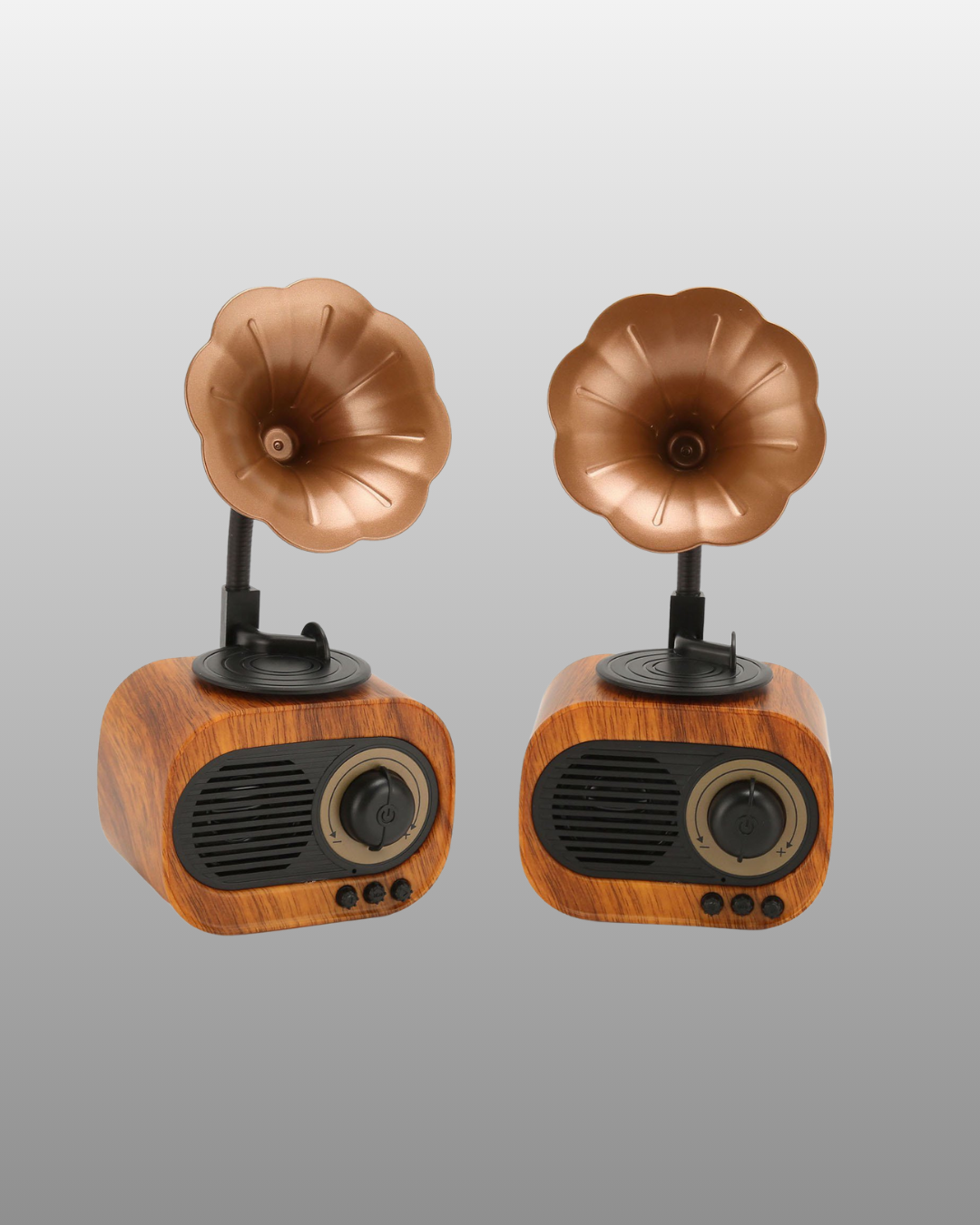 Mini Nostaljik Bluetooth Hoparlör FM Radyo 8 Saat Batarya - Görsel 2