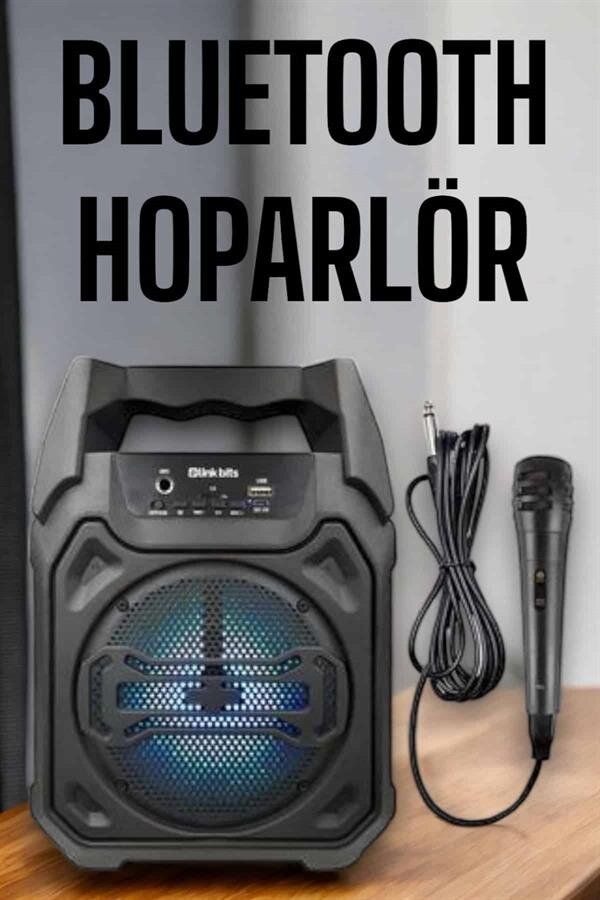 Güçlü ve Şarj Edilebilir Bluetooth Hoparlör 6.5 İnç - Görsel 2