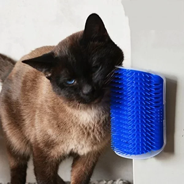 Cat It Kedi Kaşınma Aparatı - Görsel 3