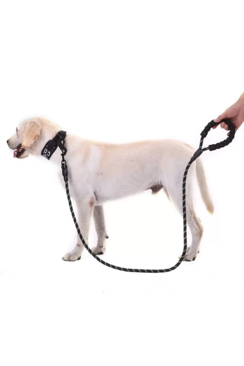 Reflektörlü Köpek Tasması 130 Cm. - Görsel 2