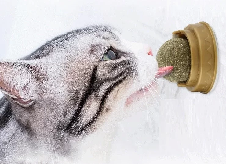 Kedi Otu Oyun Topu - Görsel 2