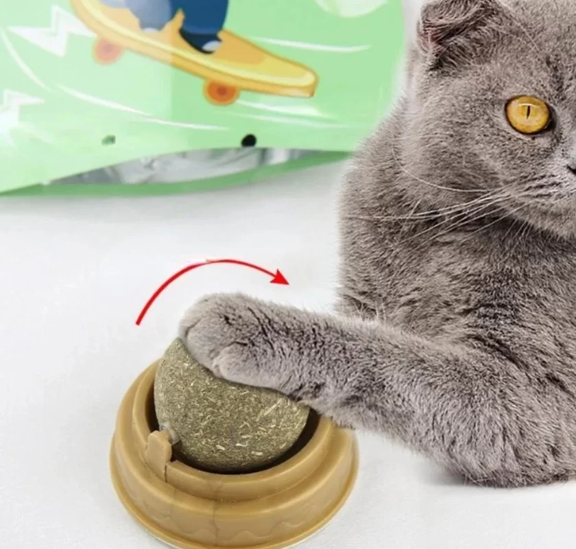 Kedi Otu Oyun Topu - Görsel 3