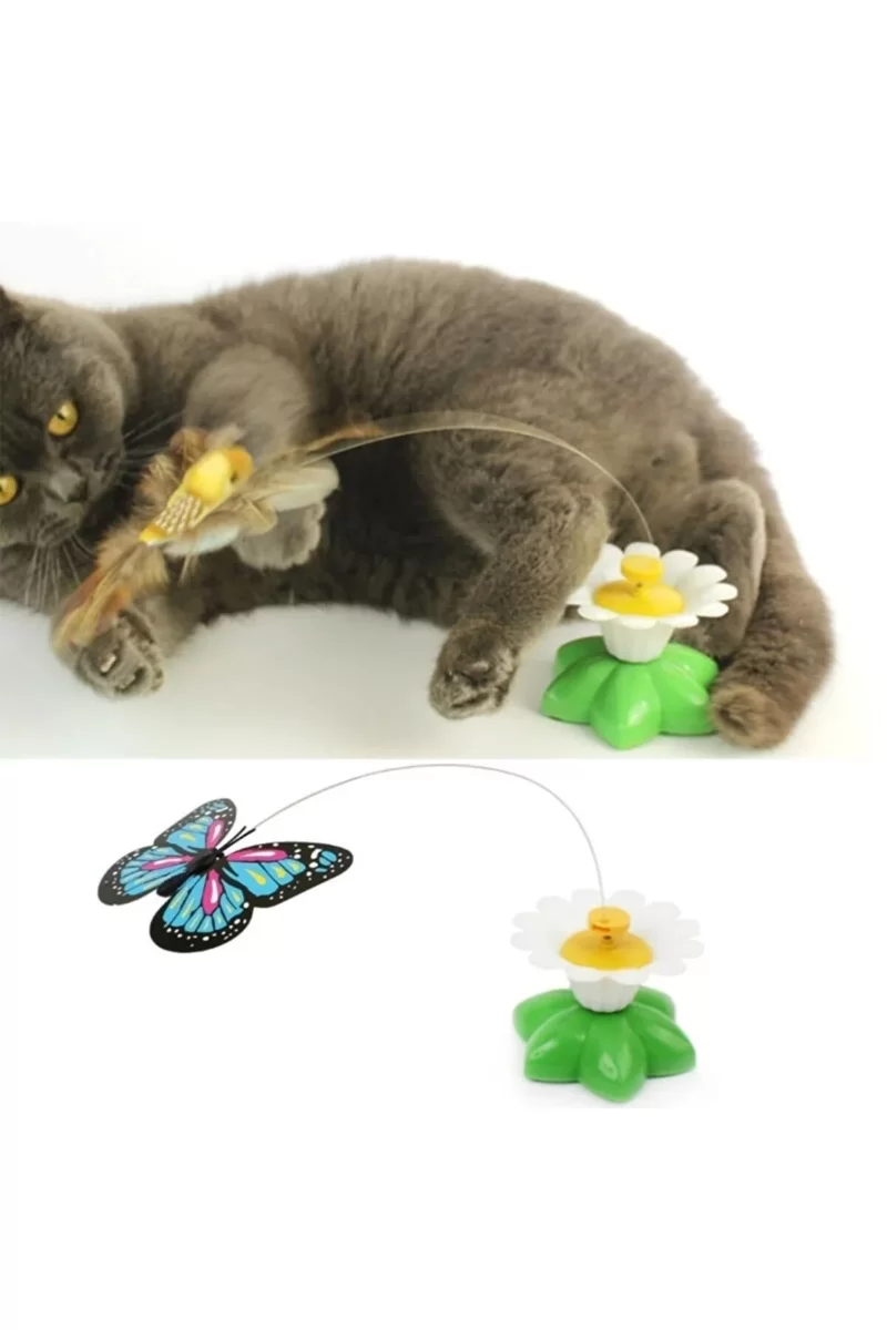 Hareketli Pilli Kelebek Kedi Oyuncağı - Görsel 3