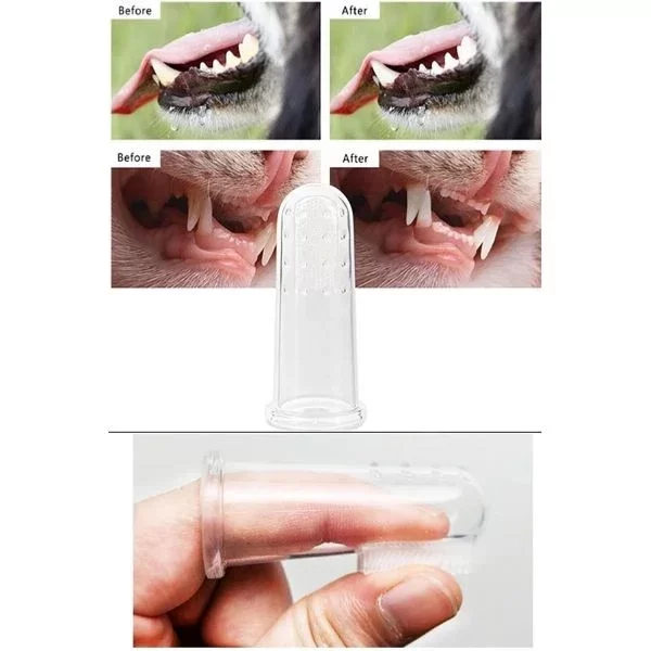 Kedi Köpek Diş Temizleme Fırçası - Görsel 3