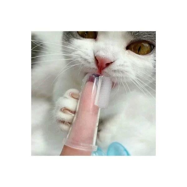 Kedi Köpek Diş Temizleme Fırçası - Görsel 5