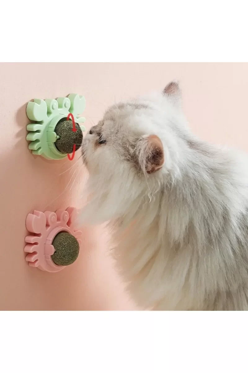 Yengeç Kedi Otu Oyun Topu - Görsel 2