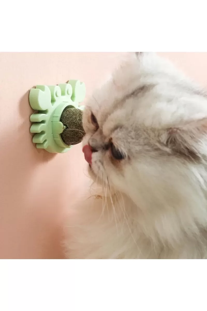 Yengeç Kedi Otu Oyun Topu - Görsel 3