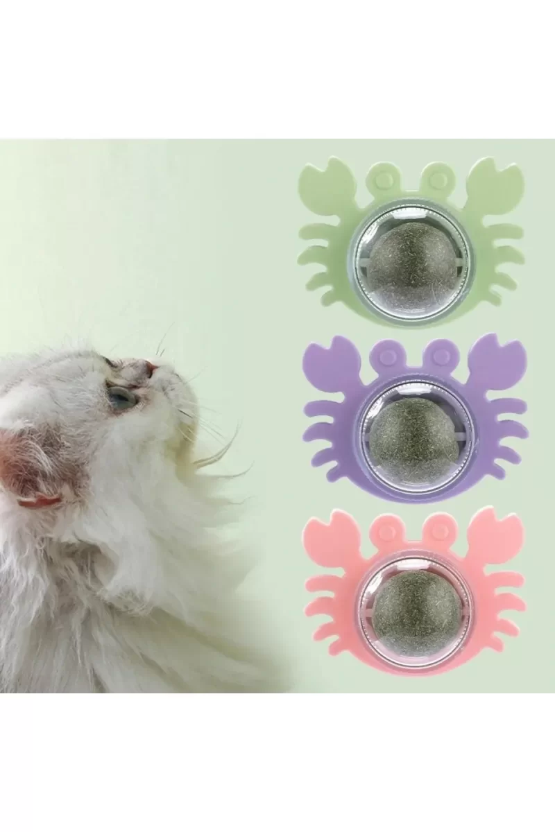 Yengeç Kedi Otu Oyun Topu - Görsel 4