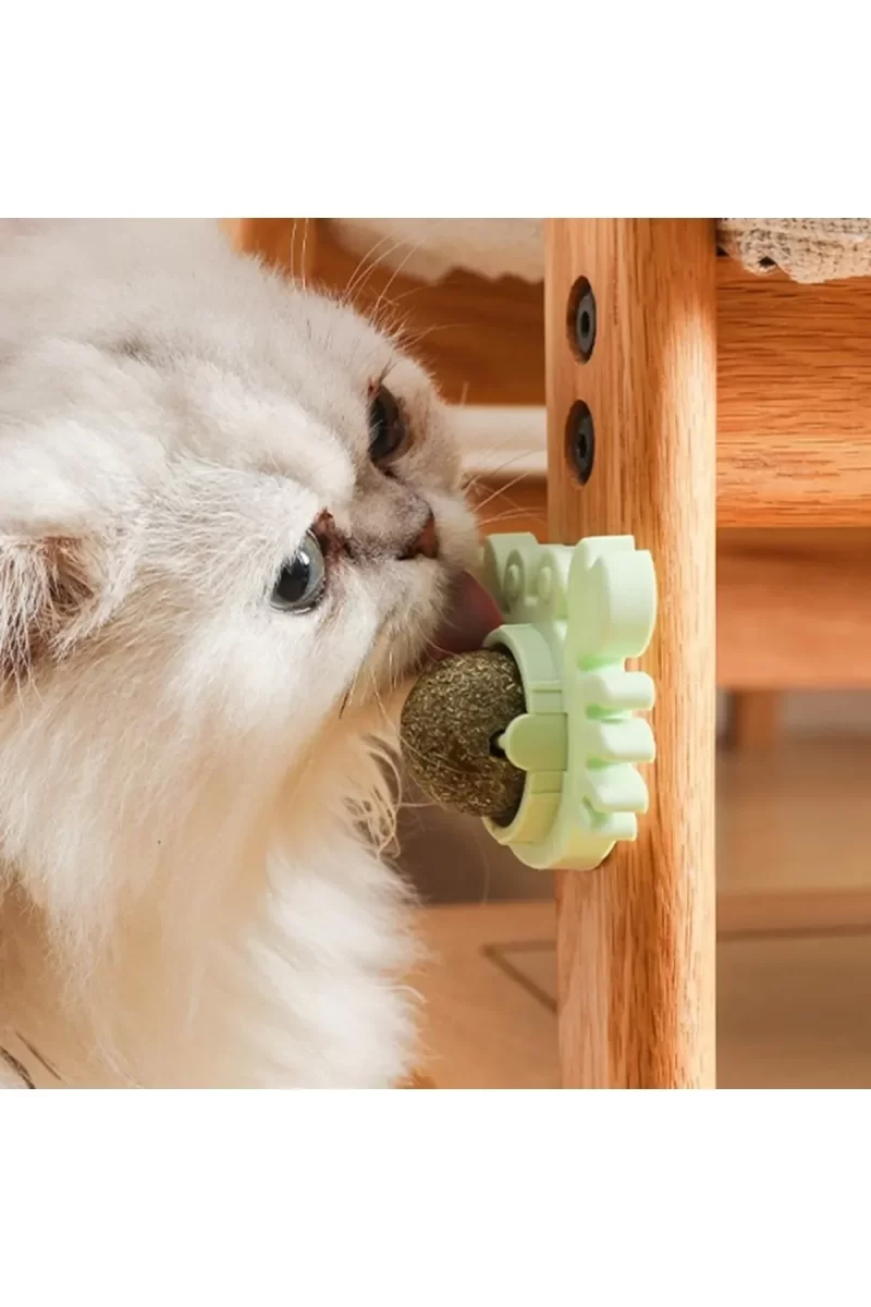Yengeç Kedi Otu Oyun Topu - Görsel 5